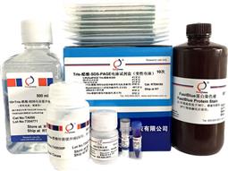 Tris-醋酸-SDS-PAGE電泳試劑盒（變性電泳，含預(yù)制膠）